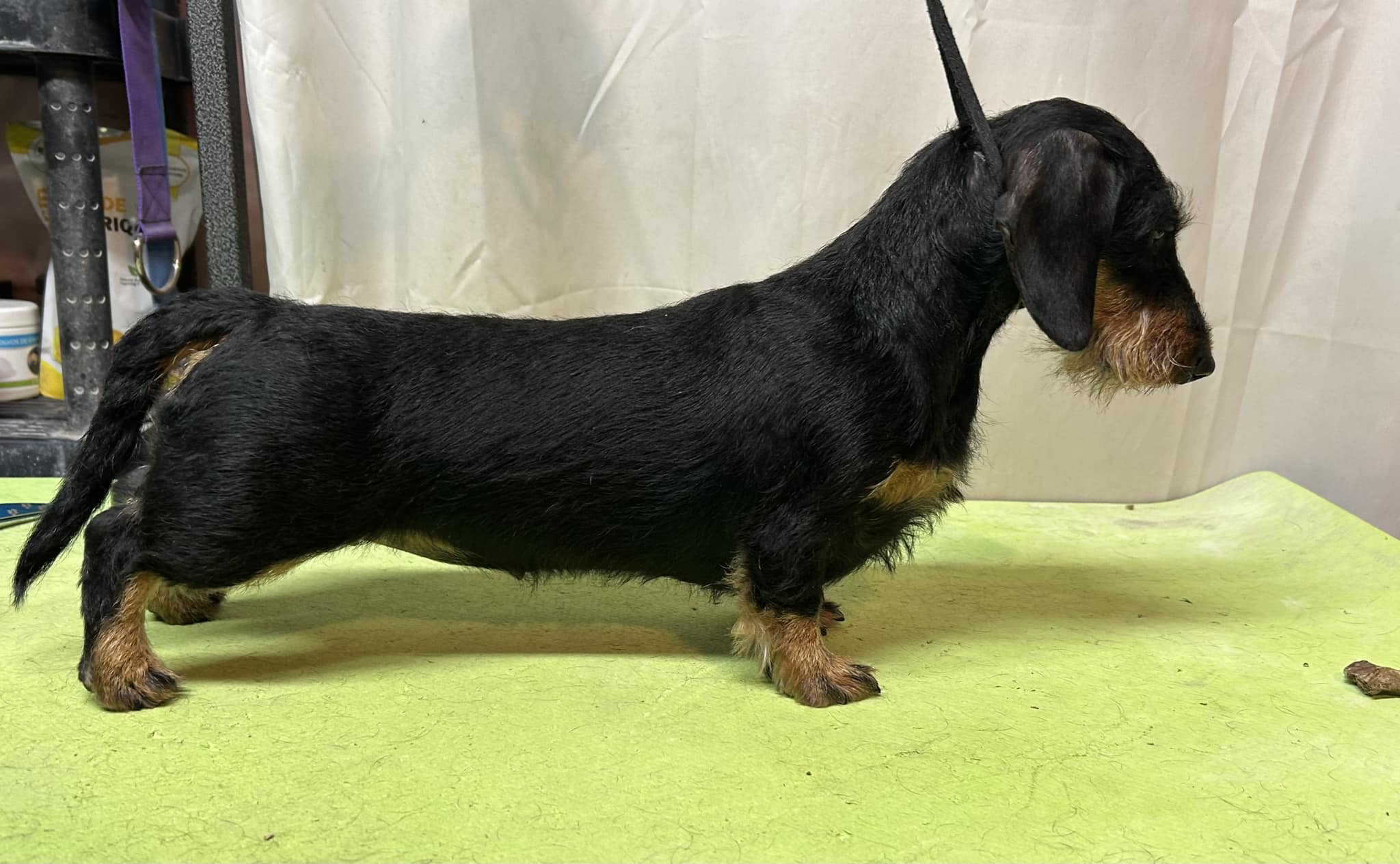 Mobirise